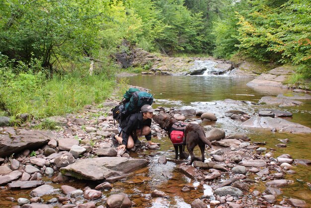 5. **Dog-Friendly Hikes:** Explore nature trails with your dog this summer. Be sure to choose hiking trails that allow dogs and pack plenty of water, snacks, and waste bags.
