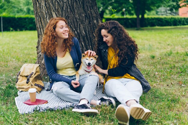 6. **Picnic in the Park:** Plan a picnic in the park with your dog as your companion. Pack their favorite toys, treats, and a blanket for a fun day out.