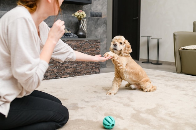 * Be mindful of potential choking hazards or materials that could be harmful to your dog * Introduce new toys one at a time and allow your dog to explore them fully before introducing another * Rotate toys frequently to maintain interest and prevent boredom